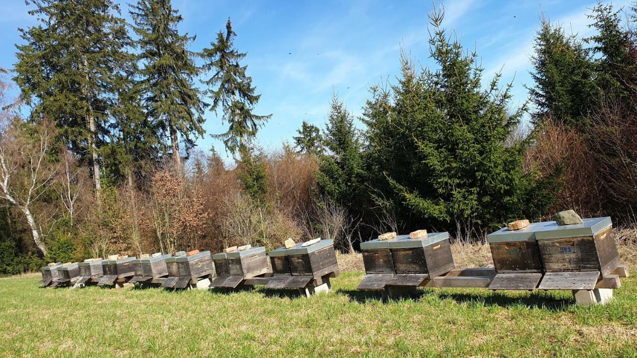 Ferienwohnung Gruengut Weckersdorf Екстериор снимка